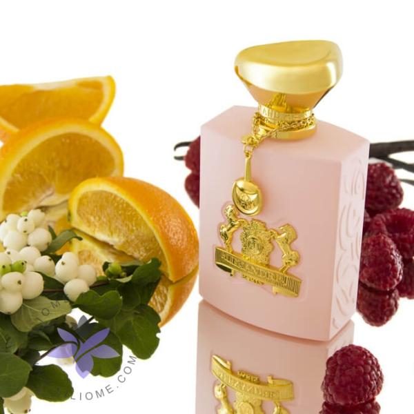 عطر الکساندر جی اوسنت پینک – Alexander j. Oscent Pink