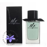 عطر ادکلن باربری مستر باربری-Burberry Mr. Burberry