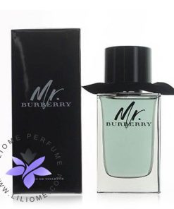 عطر ادکلن باربری مستر باربری-Burberry Mr. Burberry