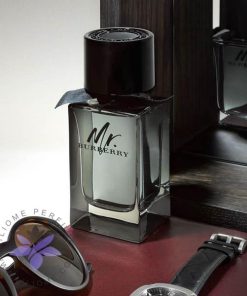 عطر ادکلن باربری مستر باربری-Burberry Mr. Burberry