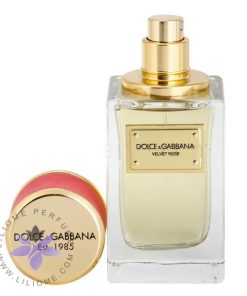 عطر ادکلن دی اند جی دلچه گابانا ولوت رز-Dolce Gabbana Velvet Rose