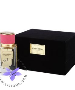 عطر ادکلن دی اند جی دلچه گابانا ولوت رز-Dolce Gabbana Velvet Rose