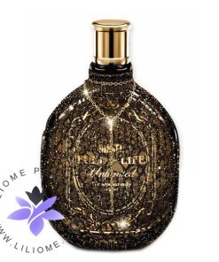 عطر ادکلن دیزل فول فر لایف اونلیمیتد-Diesel Fuel For Life Unlimited