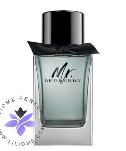 عطر ادکلن باربری مستر باربری-Burberry Mr. Burberry