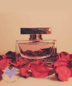 عطر ادکلن دی اند جی دلچه گابانا رز دوان-Dolce Gabbana Rose The One