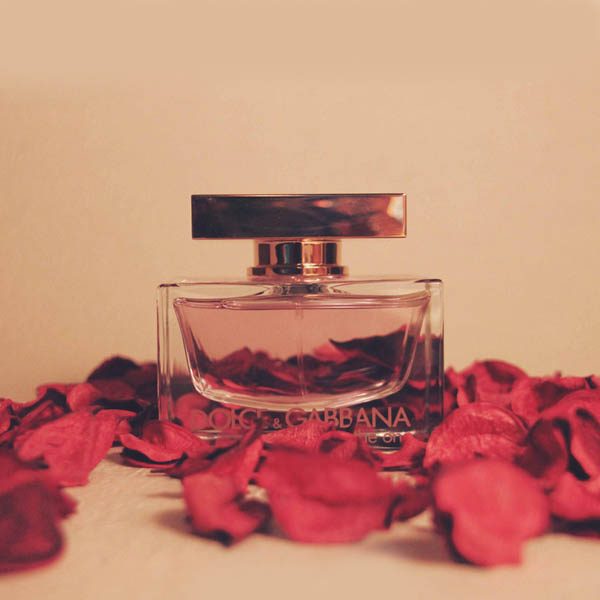 عطر ادکلن دی اند جی دلچه گابانا رز دوان-Dolce Gabbana Rose The One