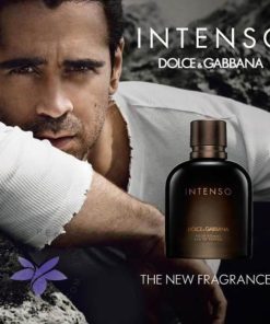 عطر ادکلن دی اند جی دلچه گابانا پور هوم اینتنسو-Dolce Gabbana Pour Homme Intenso
