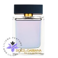 عطر ادکلن دی اند جی دلچه گابانا دوان جنتلمن-Dolce Gabbana The One Gentleman