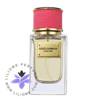 عطر ادکلن دی اند جی دلچه گابانا ولوت رز-Dolce Gabbana Velvet Rose