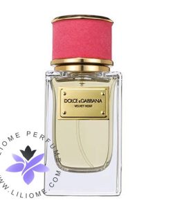 عطر ادکلن دی اند جی دلچه گابانا ولوت رز-Dolce Gabbana Velvet Rose