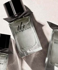 عطر ادکلن باربری مستر باربری-Burberry Mr. Burberry