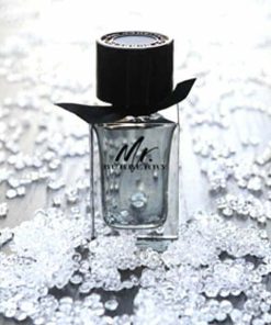 عطر ادکلن باربری مستر باربری-Burberry Mr. Burberry