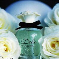 عطر ادکلن دی اند جی دلچه گابانا دلچه-Dolce Gabbana Dolce