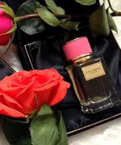 عطر ادکلن دی اند جی دلچه گابانا ولوت رز-Dolce Gabbana Velvet Rose