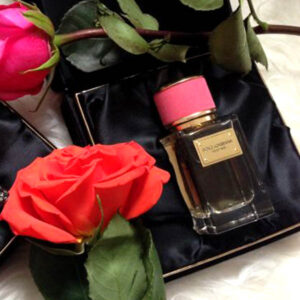 عطر ادکلن دی اند جی دلچه گابانا ولوت رز-Dolce Gabbana Velvet Rose
