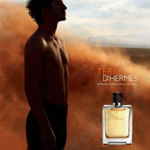 عطر ادکلن هرمس تق هرمس پرفیوم-Hermes Terre d'Hermes Parfum