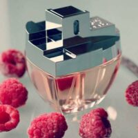 عطر ادکلن دی کی ان وای مای ان وای-DKNY Karan DKNY My NY