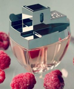 عطر ادکلن دی کی ان وای مای ان وای-DKNY Karan DKNY My NY
