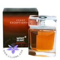 عطر ادکلن مونت بلنک اکسپشنال Mont Blanc Homme Exceptionnel