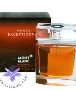 عطر ادکلن مونت بلنک اکسپشنال Mont Blanc Homme Exceptionnel
