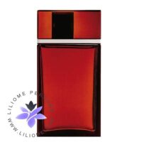 عطر ادکلن ایو سن لورن ام7 Yves Saint Laurent M7