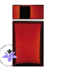 عطر ادکلن ایو سن لورن ام7 Yves Saint Laurent M7