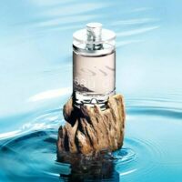 عطر ادکلن کارتیر اسنس بویس-Cartier Essence de Bois