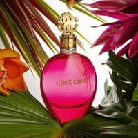 عطر ادکلن روبرتو کاوالی اگزوتیکا-Roberto Cavalli Exotica