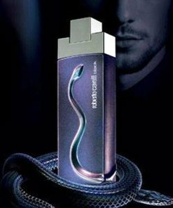 عطر ادکلن روبرتو کاوالی بلک مردانه-Roberto Cavalli Black