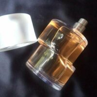 عطر ادکلن نیناریچی پرمیرژور-Nina Ricci Premier jour