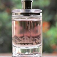 عطر ادکلن کارتیر اسنس بویس-Cartier Essence de Bois