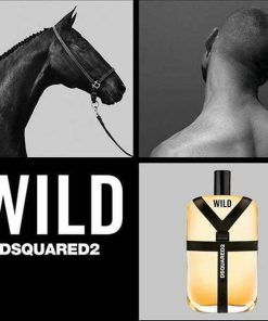 عطر ادکلن دسکوارد وایلد-DSQUARED Wild