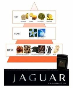 عطر ادکلن جگوار ویژن 3-Jaguar Vision III