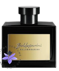 عطر ادکلن بالدسارینی استریکتلی پرایوت | Baldessarini Strictly Private
