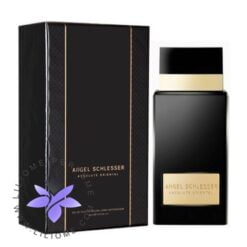 عطر ادکلن آنجل شلیسر ابسولوت اورینتال-Angel Schlesser Absolute Oriental