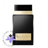 عطر ادکلن آنجل شلیسر ابسولوت اورینتال-Angel Schlesser Absolute Oriental