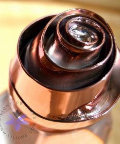 عطر ادکلن آرماند باسی رز لامیر-Armand Basi Rose Lumiere