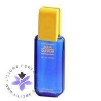 عطر ادکلن آنتونیو پوییگ آکوا کروم-Antonio Puig Aqua Quorum