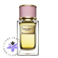 عطر ادکلن دلچه گابانا ولوت لاو-Dolce Gabbana Velvet Love