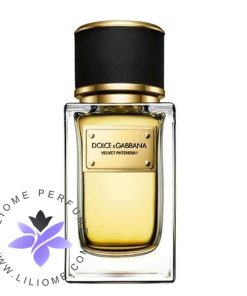 عطر ادکلن دی اند جی دلچه گابانا ولوت پچولی-Dolce Gabbana Velvet Patchouli