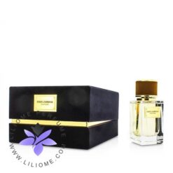 عطر ادکلن دلچه گابانا ولوت وود-Dolce Gabbana Velvet Wood