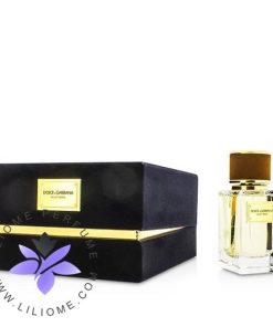 عطر ادکلن دلچه گابانا ولوت وود-Dolce Gabbana Velvet Wood