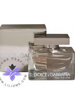 عطر ادکلن دلچه گابانا لئو دوان-Dolce Gabbana L`eau The One