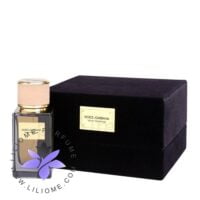 عطر ادکلن دلچه گابانا ولوت تندر عود-Dolce Gabbana Velvet Tender Oud