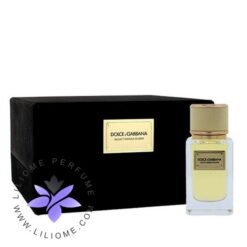 عطر ادکلن دلچه گابانا ولوت میموسا بلوم-Dolce Gabbana Velvet Mimosa Bloom