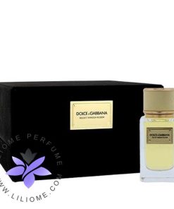 عطر ادکلن دلچه گابانا ولوت میموسا بلوم-Dolce Gabbana Velvet Mimosa Bloom
