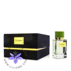عطر ادکلن دی اند جی دلچه گابانا ولوت برگامت-Dolce Gabbana Velvet Bergamot