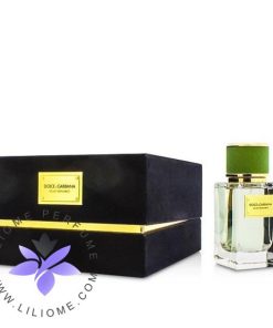عطر ادکلن دی اند جی دلچه گابانا ولوت برگامت-Dolce Gabbana Velvet Bergamot