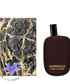 عطر ادکلن کومه دس گارسنز واندرعود-Comme des Garcons Wonderoud