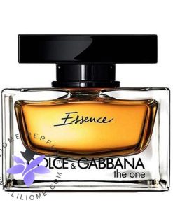 عطر ادکلن دلچه گابانا دوان اسنس-Dolce Gabbana The One Essence